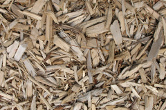 biomass boilers Craigdarroch